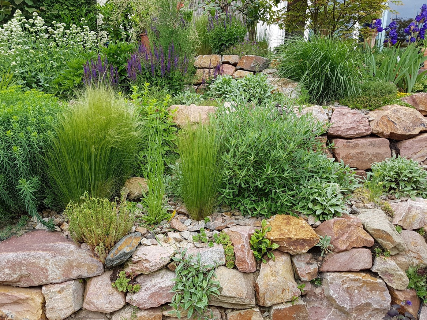 Tranquil rockery scene with vibrant green plants cascading over warm, reddish-brown stones, illustrating natural beauty and expert garden construction.