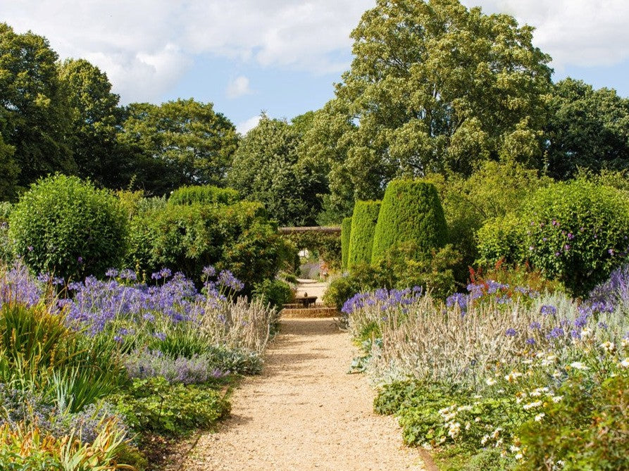 A tranquil garden path lined with vibrant purple flowers and lush greenery leads toward a distant bench, evoking a sense of serenity and inviting exploration.