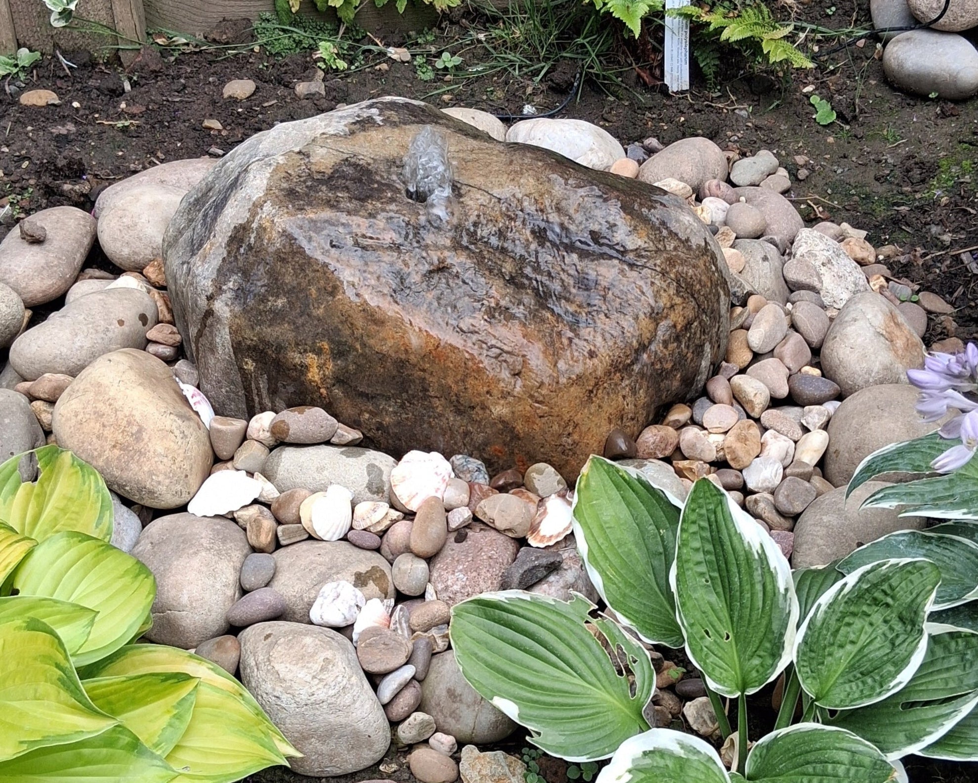 A garden features a rock water fountain surrounded by river rocks, with hostas plants bordering the foreground. The scene is peaceful and natural.