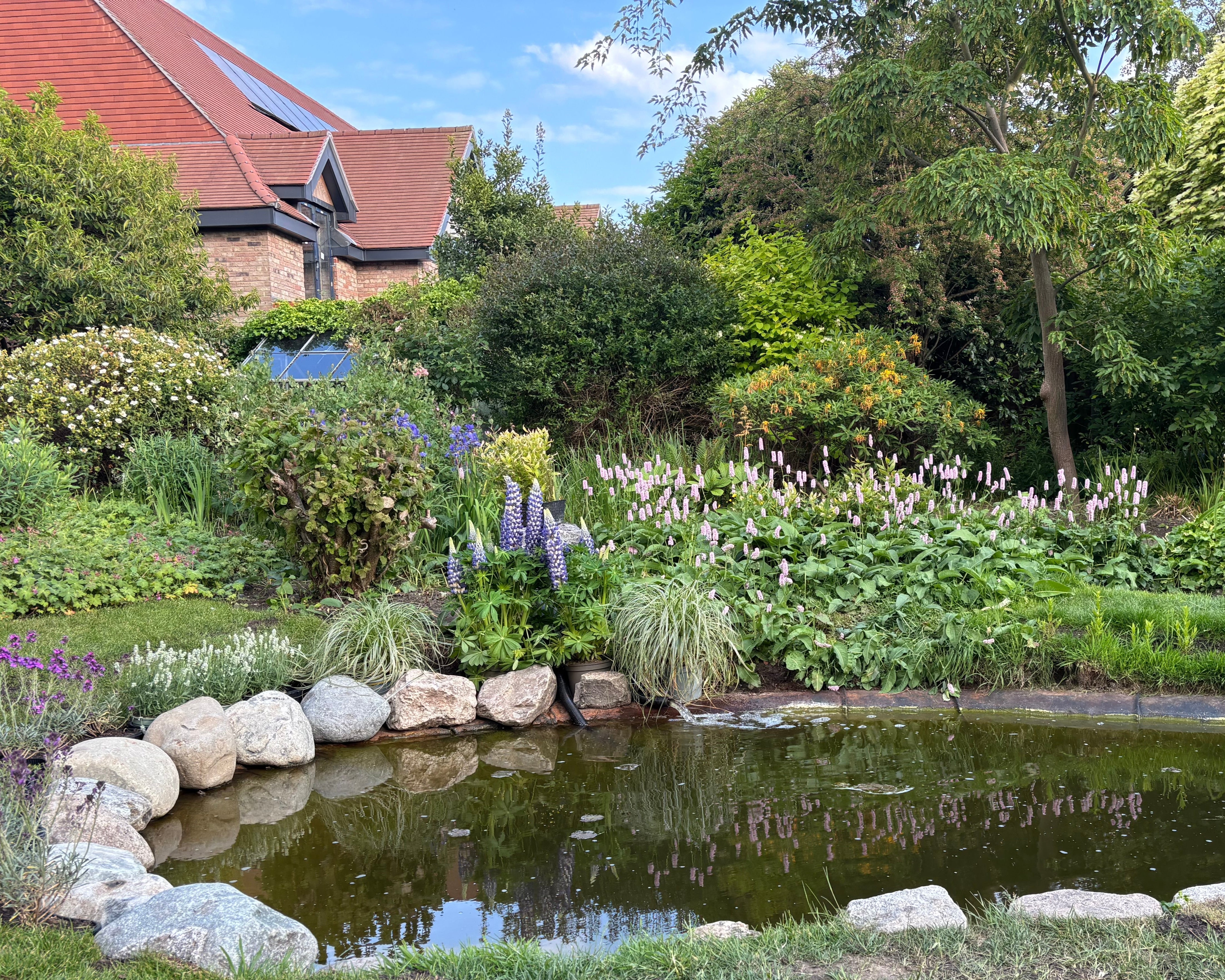 A tranquil garden pond surrounded by rocks and lush vegetation, reflecting a clear blue sky. The scene evokes a sense of peace.