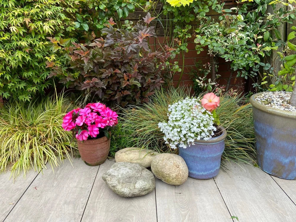 Garden boulders, medium decorative, surrounded by potted flowers and plants on a wooden deck.
