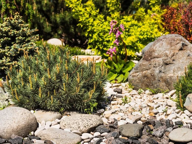 Bulk bag of beach cobbles, 40 to 90 millimeters, featuring mixed colors and smooth textures in a garden setting.