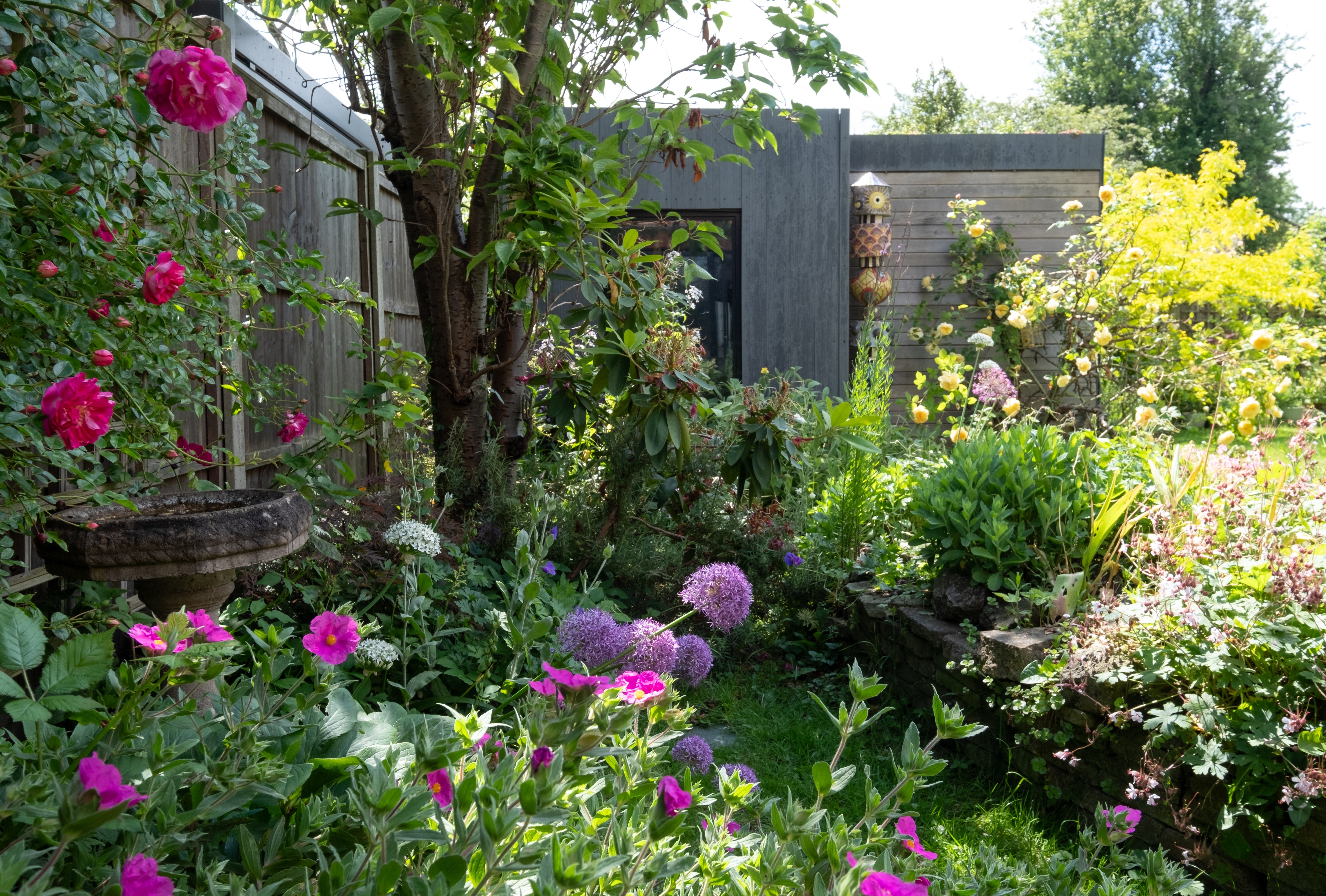 Lush garden scene with vibrant pink and purple flowers in the foreground, a stone birdbath, and a fence backdrop. Yellow climbing roses add color on the right.