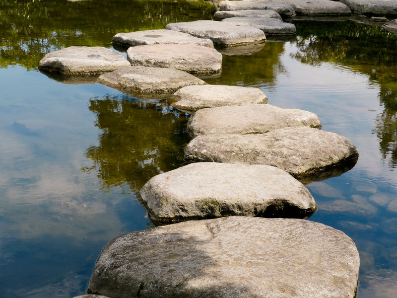 Natural Stone Stepping Stones For Ponds