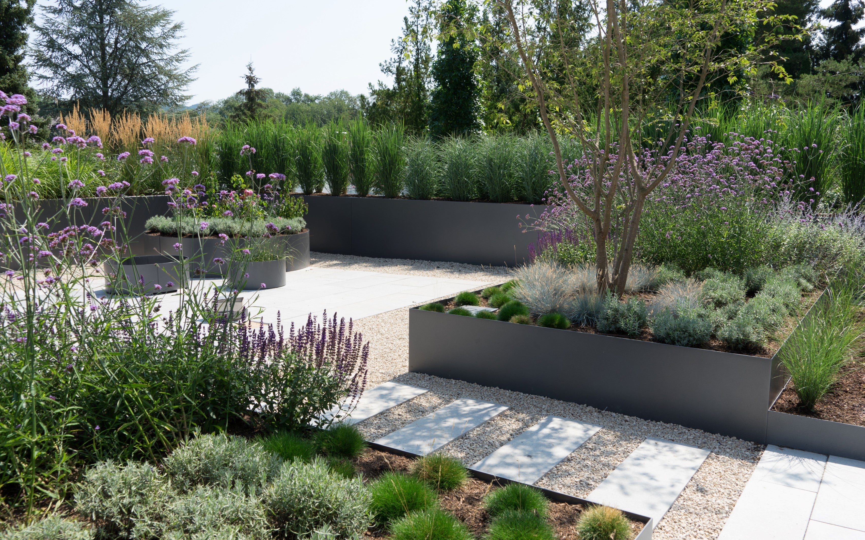 A modern garden featuring raised gray planters with gravel paths and stepping stones, filled with purple flowers and green foliage.