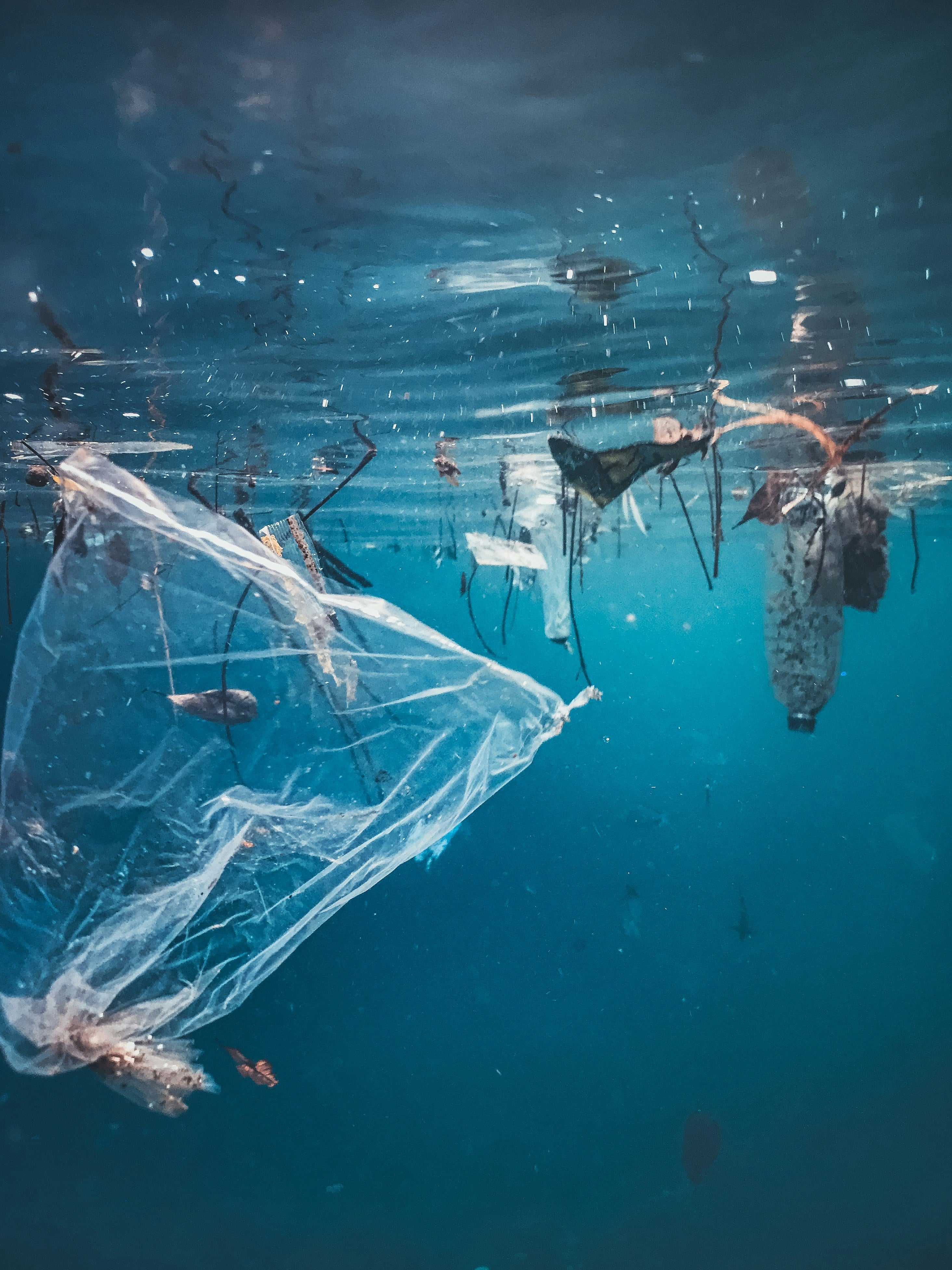Underwater view shows discarded plastic bag and bottle, contributing to ocean pollution in murky blue water.