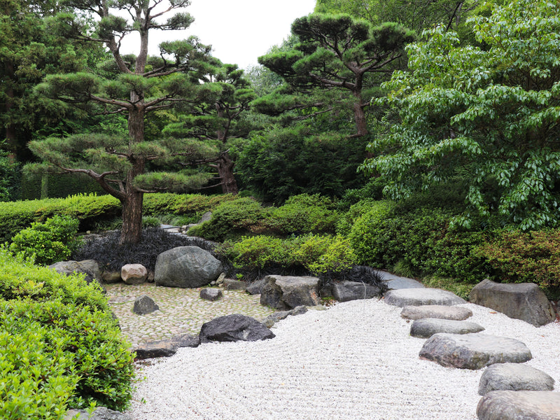 A Japanese garden features trimmed trees, green shrubs, gray rocks, and a white gravel area with stepping stones. A path winds through the tranquil landscape.