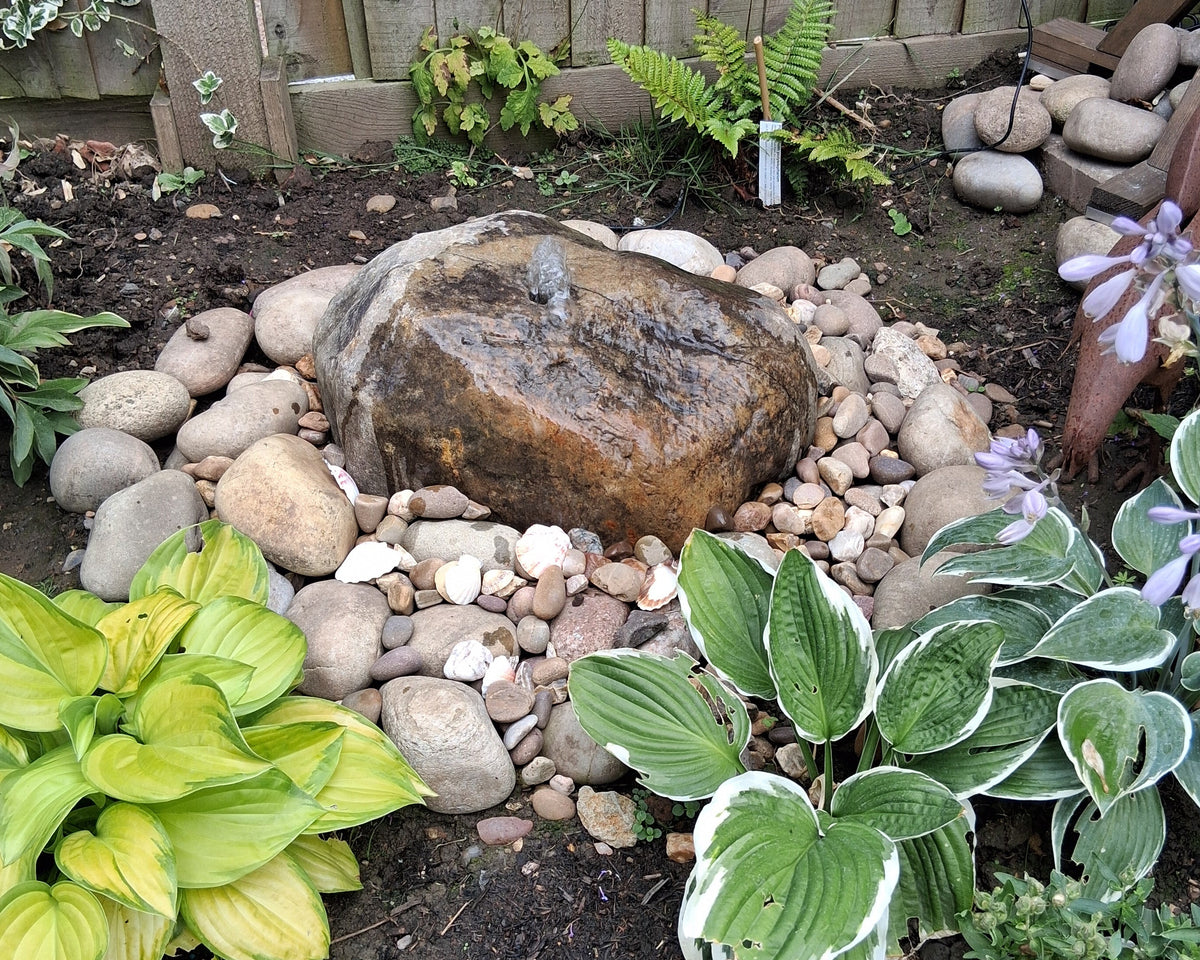 A garden scene with a boulder fountain surrounded by smooth stones, hosta plants with green and white foliage, and ferns.