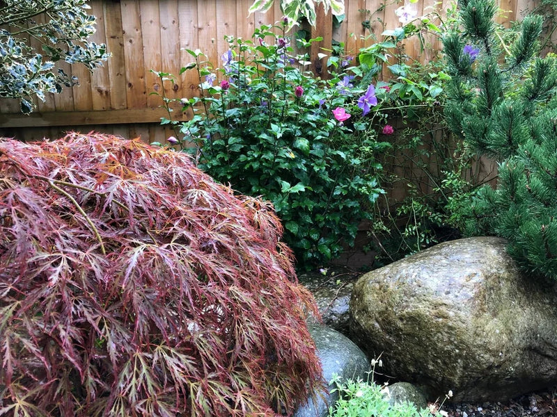 Trio of decorative garden boulders, 600 to 900 mm, with a mossy texture and a natural finish, placed among plants.
