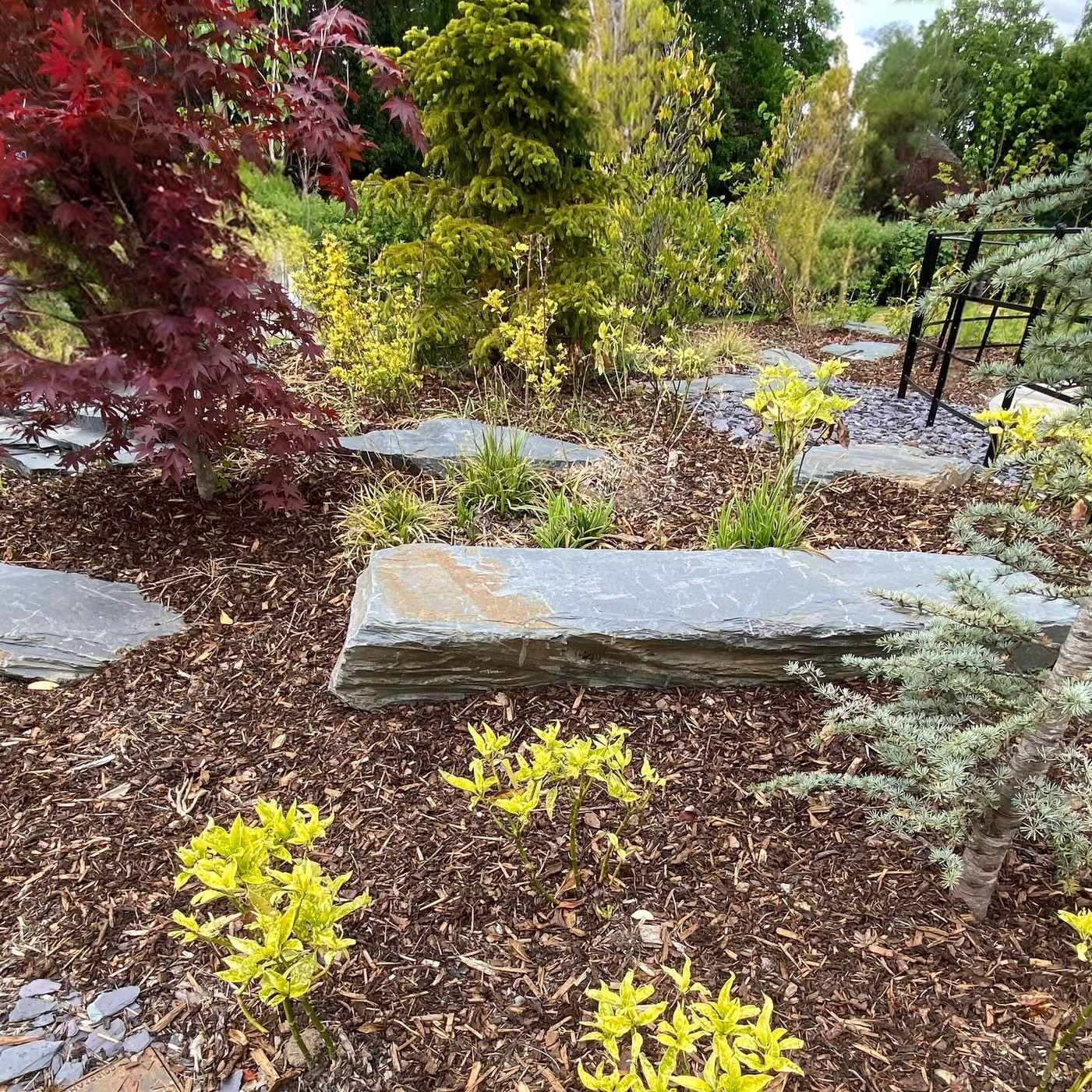 A vibrant garden scene with stone pathways, a rock bench, and colorful trees amid a mulch ground cover.