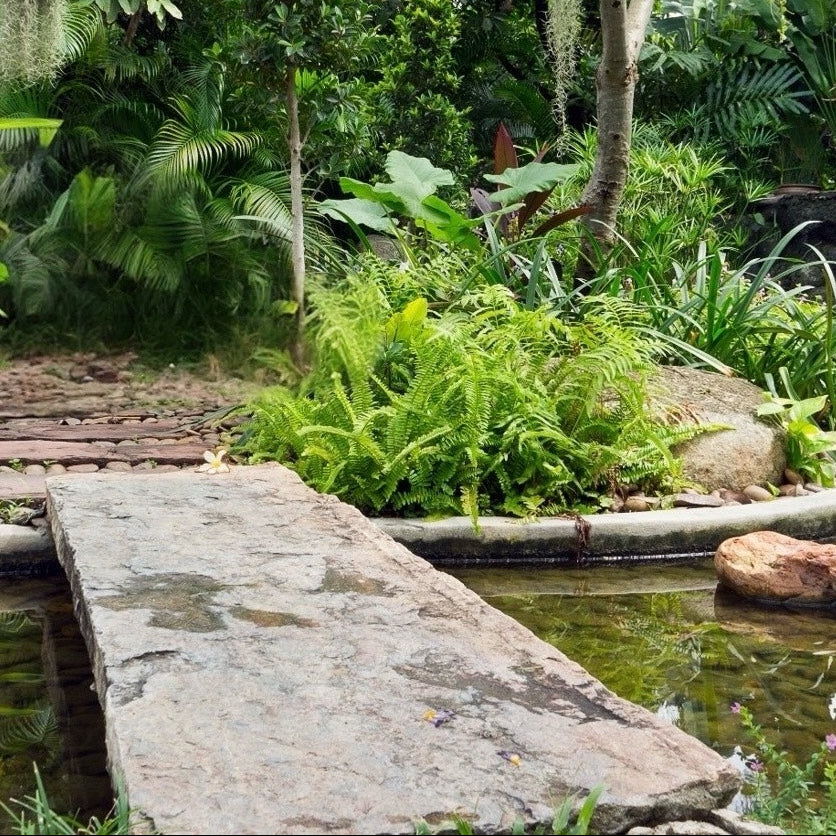 A stone walkway crosses a tranquil pond, surrounded by lush green ferns and various plants in a vibrant garden.
