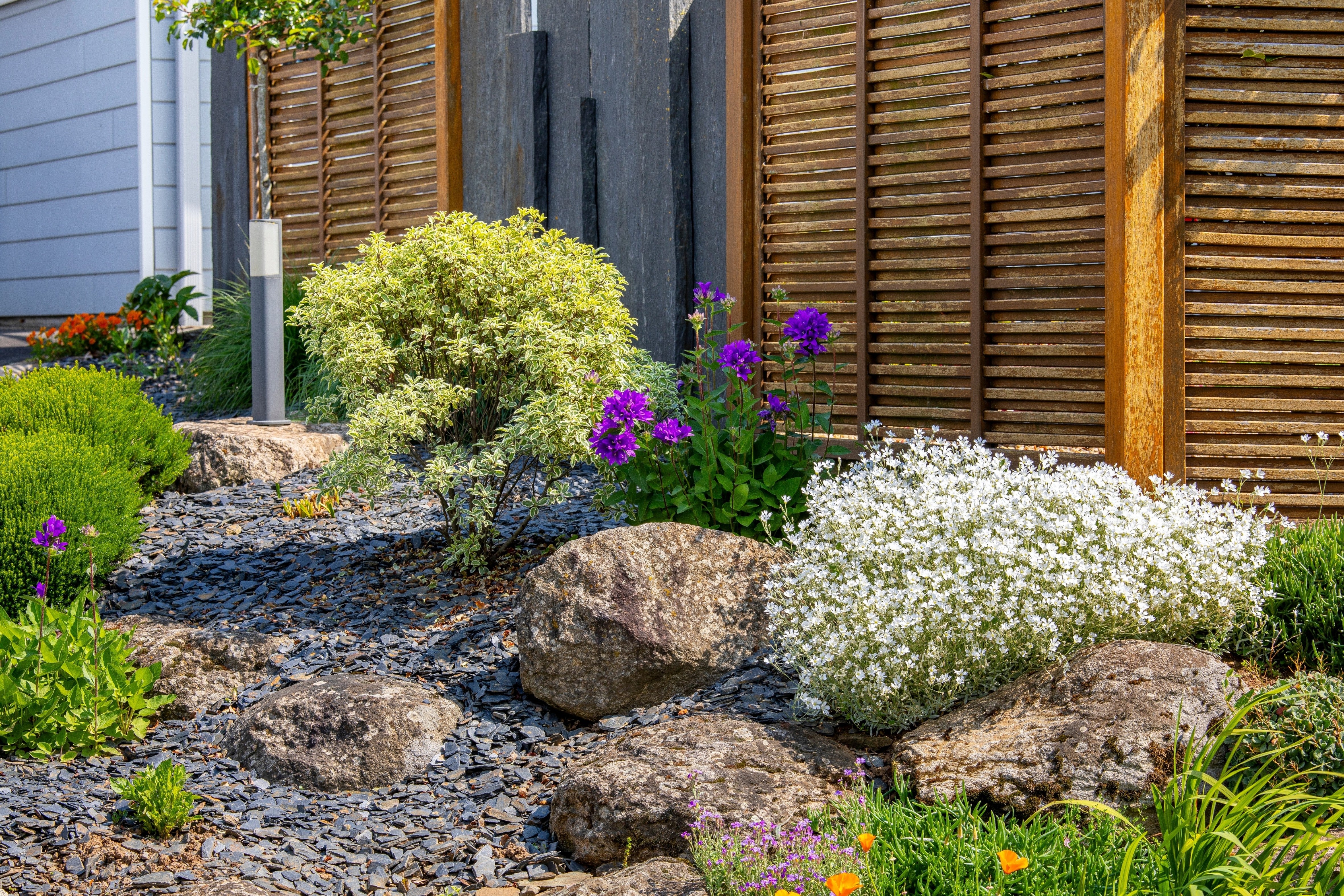 A sunny rock garden displays white and purple flowers, mossy rocks, and a screen fence background, creating a colorful and textured landscape.

