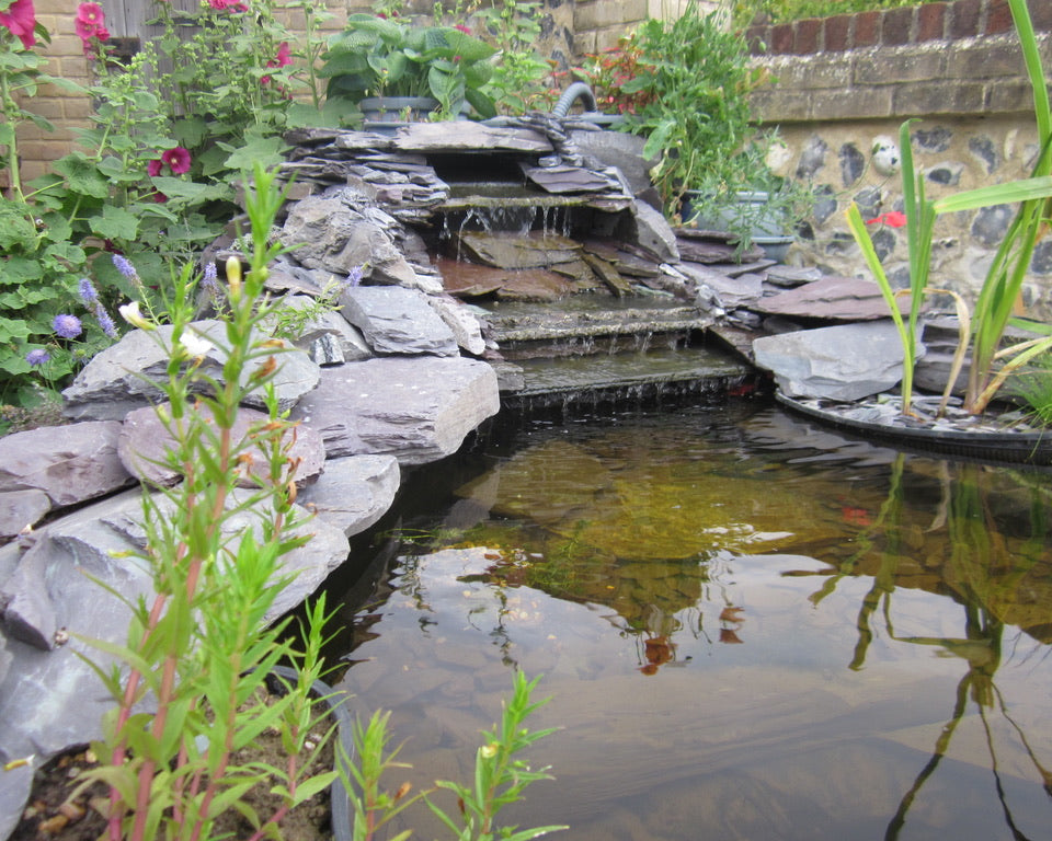 A garden pond with a rock waterfall is surrounded by lush greenery and colorful flowers. Reflections shimmer on the water's surface.