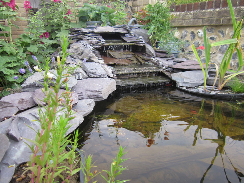 Plum slate decorative pond stones with a natural, layered formation near a pond.