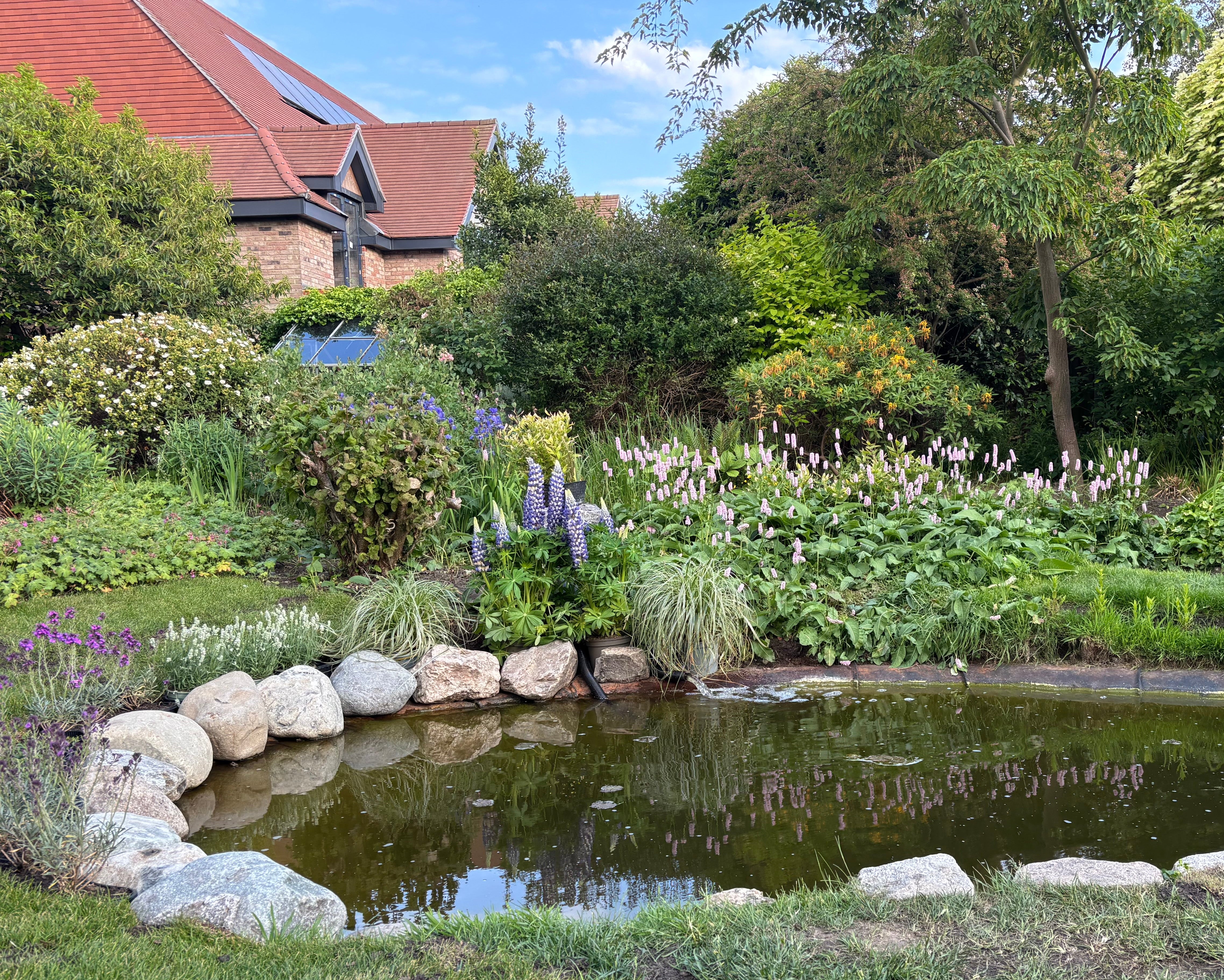 A pond surrounded by rocks and greenery in a garden setting, with a red-tiled house visible in the background.