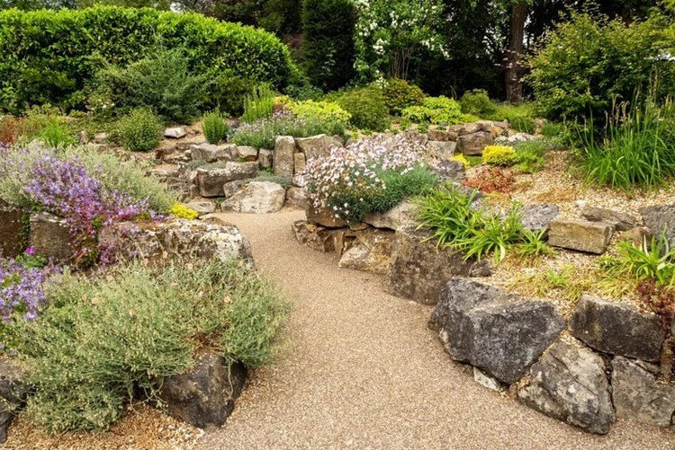 Golden self binding gravel for driveways by an unspecified brand, forming a path in a landscaped rock garden.
