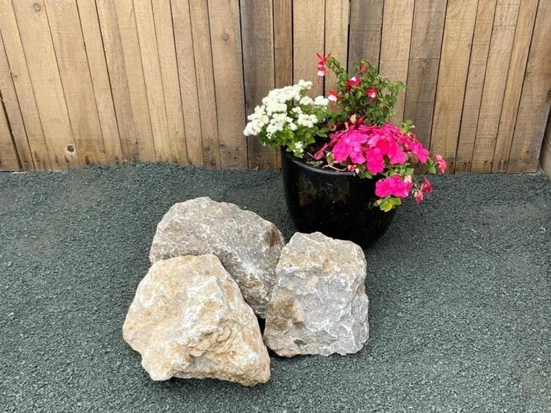 Highland Grey limestone decorative pond stones with varying textures, next to a potted plant with pink and white flowers.