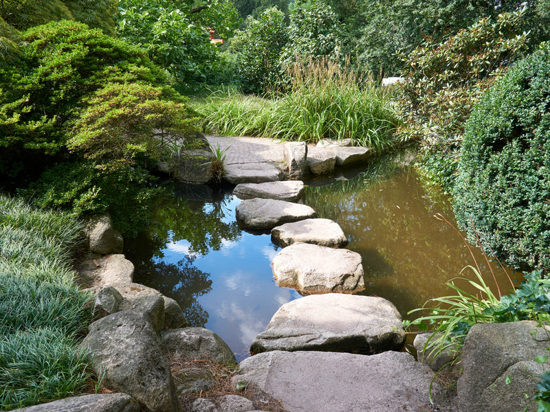 Natural Stone Stepping Stones For Ponds