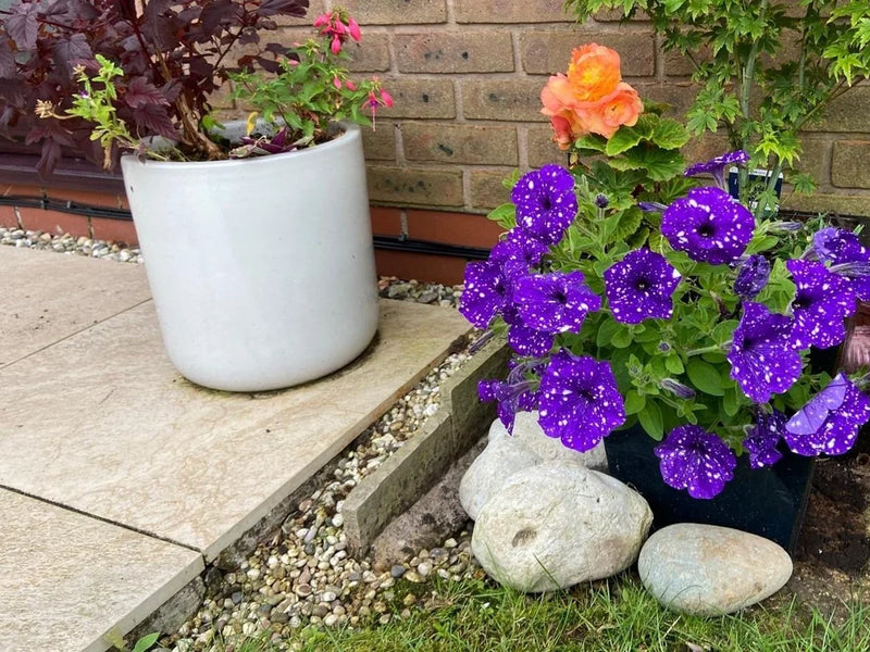 Small decorative garden boulders, 100-200mm, surrounded by grass and flowers in a garden setting.
