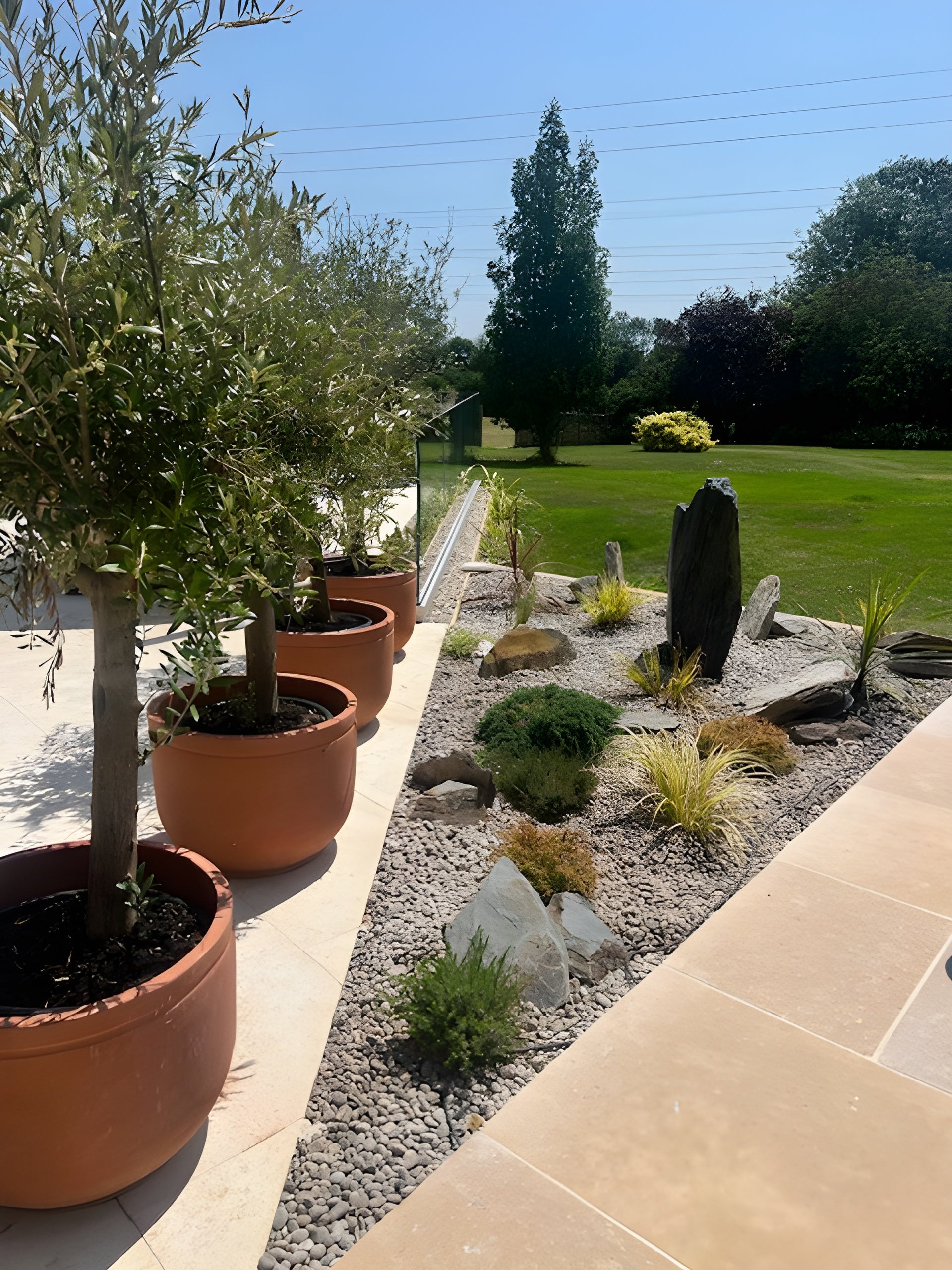 A sunlit patio showcases olive trees in terracotta pots, a rock garden with grey pebbles, shrubs, and a standing stone. A green lawn is visible in the background.
