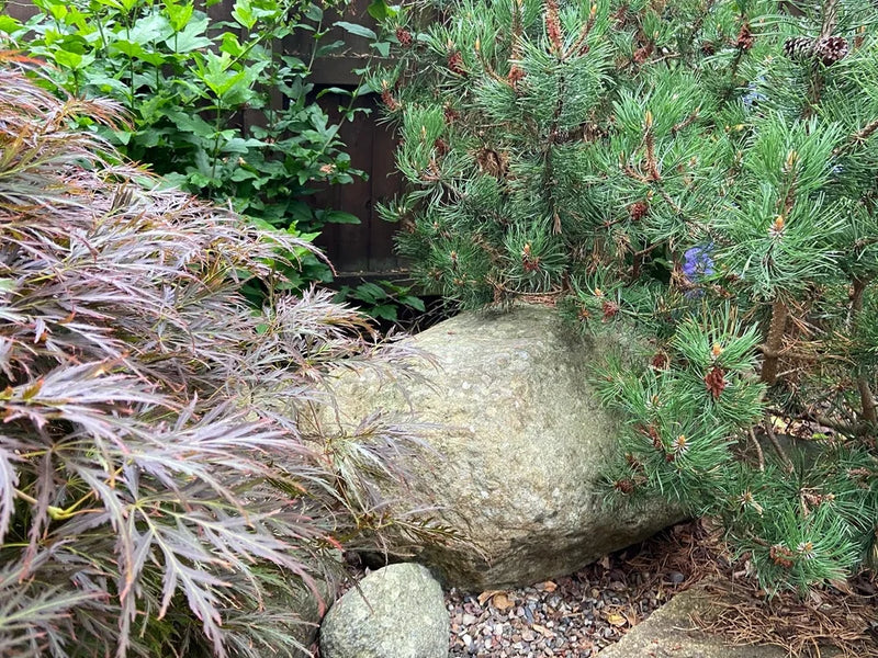Duo of decorative garden boulders, varied sizes, with light gray coloring and speckled texture.