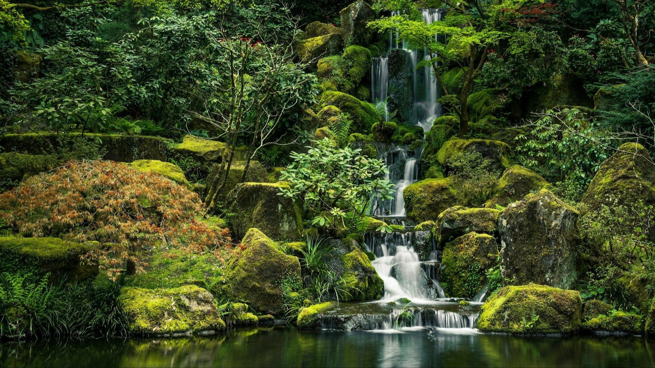 A lush, green Japanese garden scene with a cascading waterfall flowing into a serene pond, surrounded by mossy rocks and trees.
