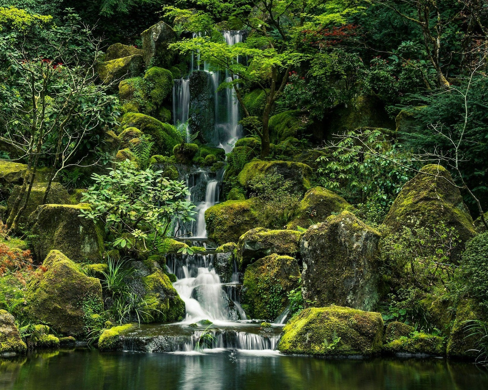 A lush, green tiered waterfall cascades over moss-covered rocks into a dark, reflective pond in a serene, verdant forest.
