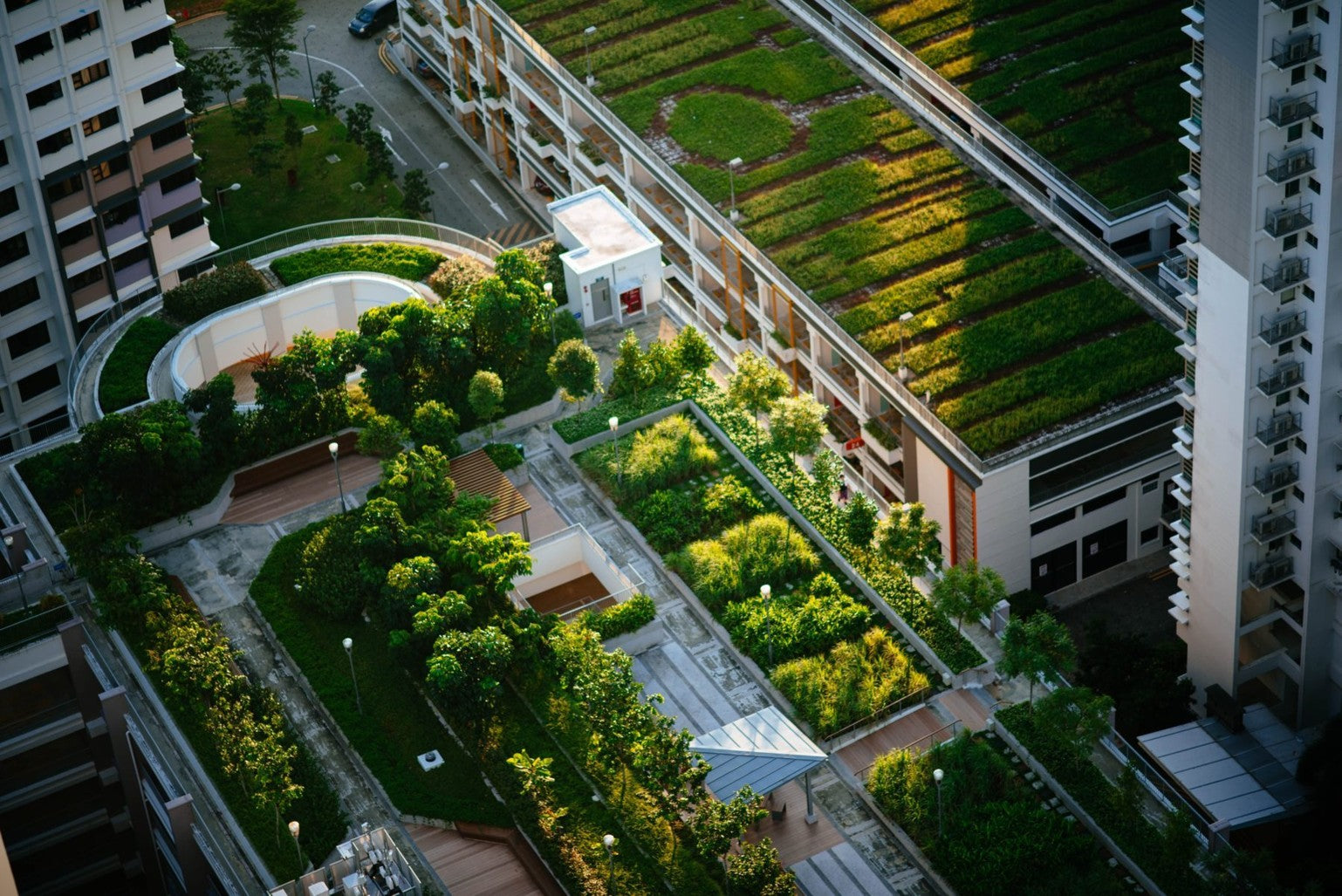 Aerial shot of building rooftops covered in lush greenery and gardens, showcasing innovative urban landscaping in bright sunlight.
