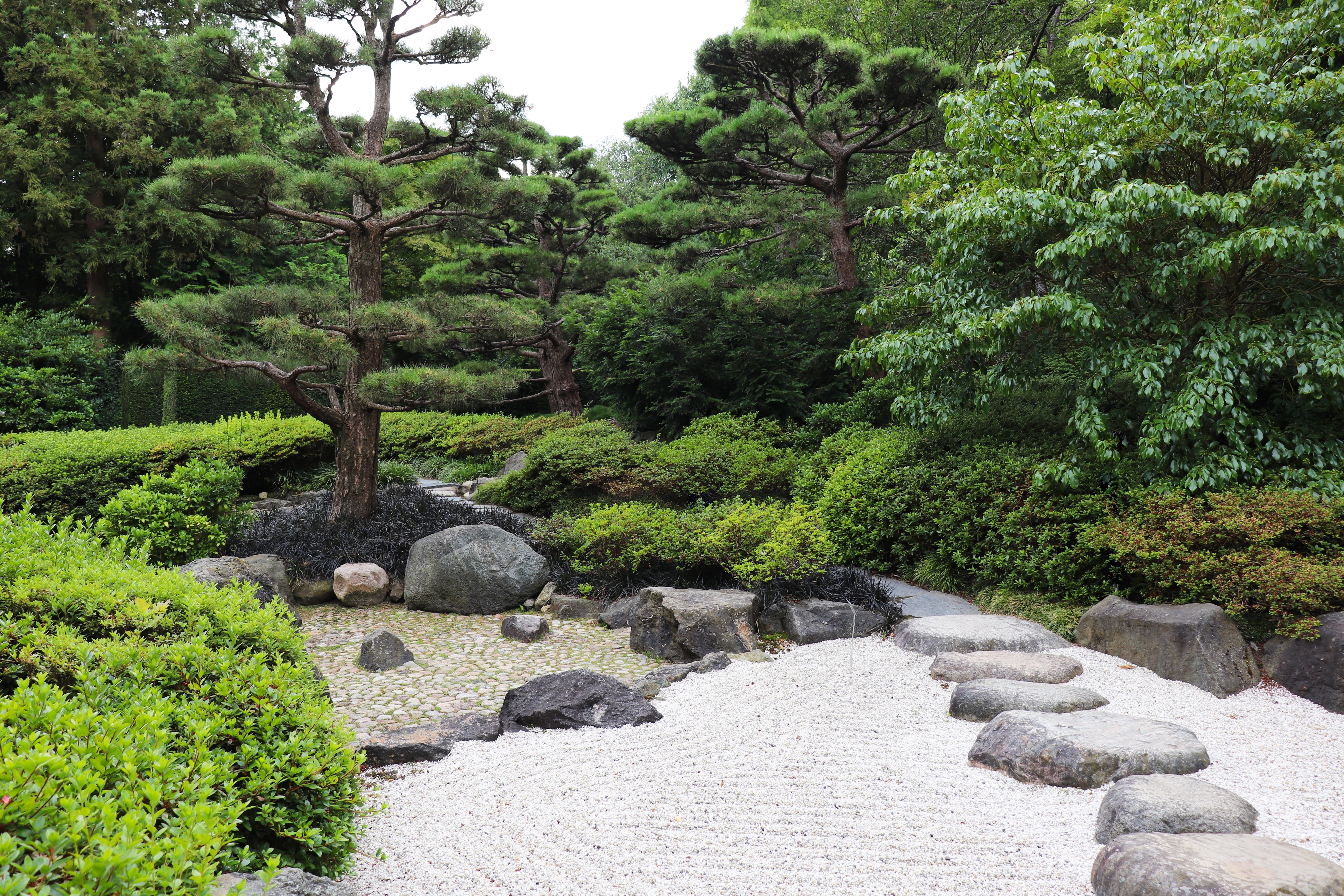 A Japanese garden features trimmed trees, green shrubs, gray rocks, and a white gravel area with stepping stones. A path winds through the tranquil landscape.